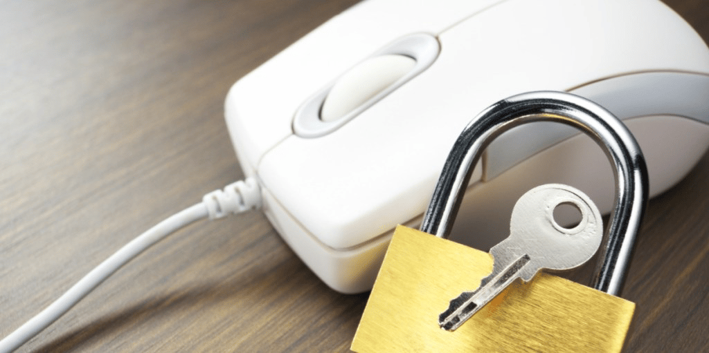 Cybersecurity and Internet Safety
