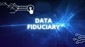 logo of DataFiduciary.