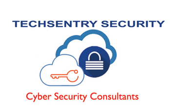 TechSentry Solutions.