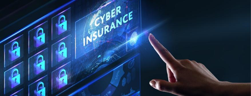 Cyberinsurance is a growing concern for small businesses