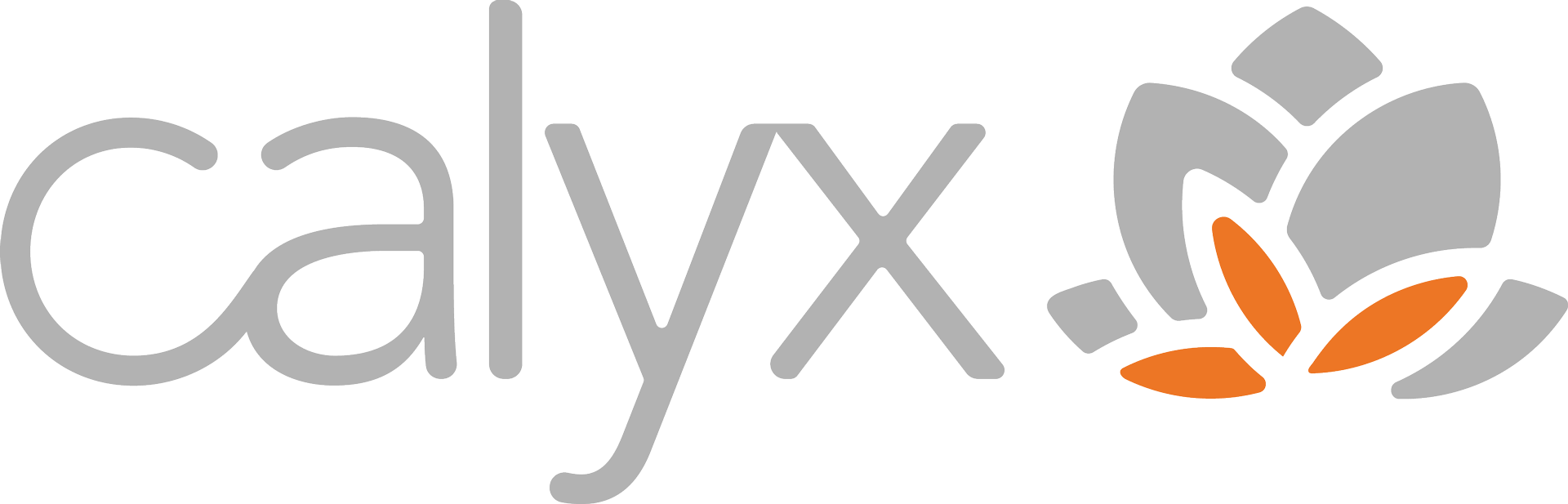 Calyx IT logo